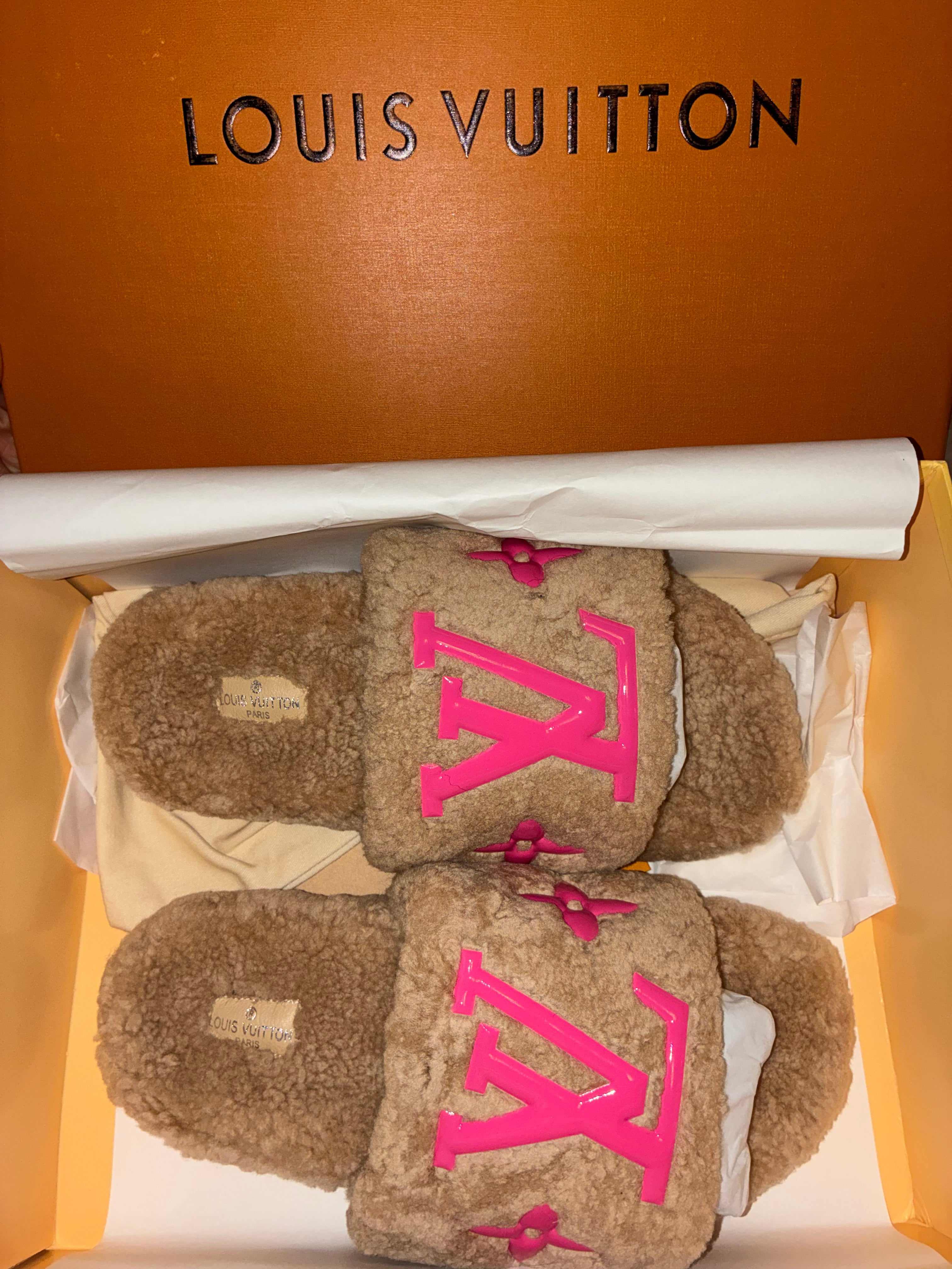 LV SLIDES