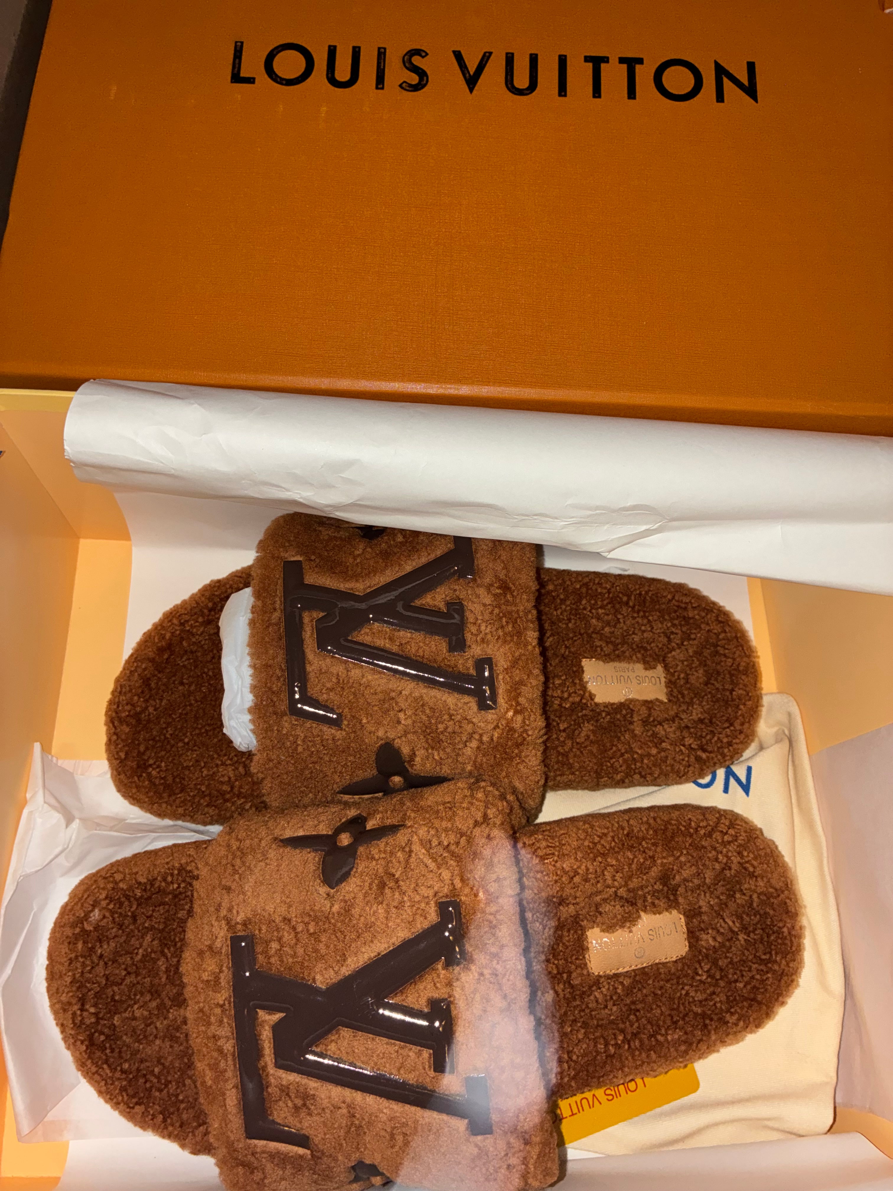 BROWN LV SLIDES