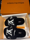 LV SLIDES