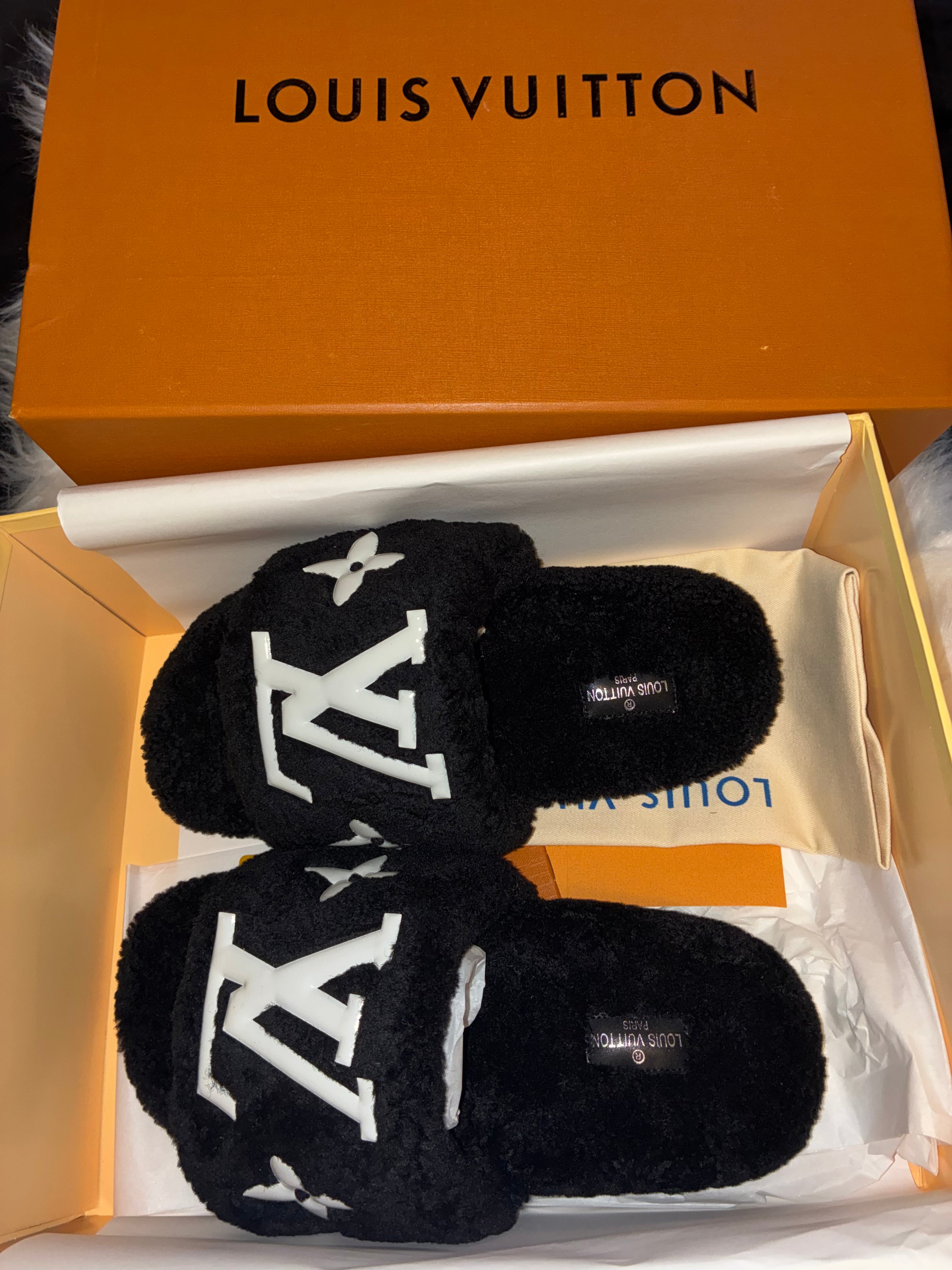 LV SLIDES
