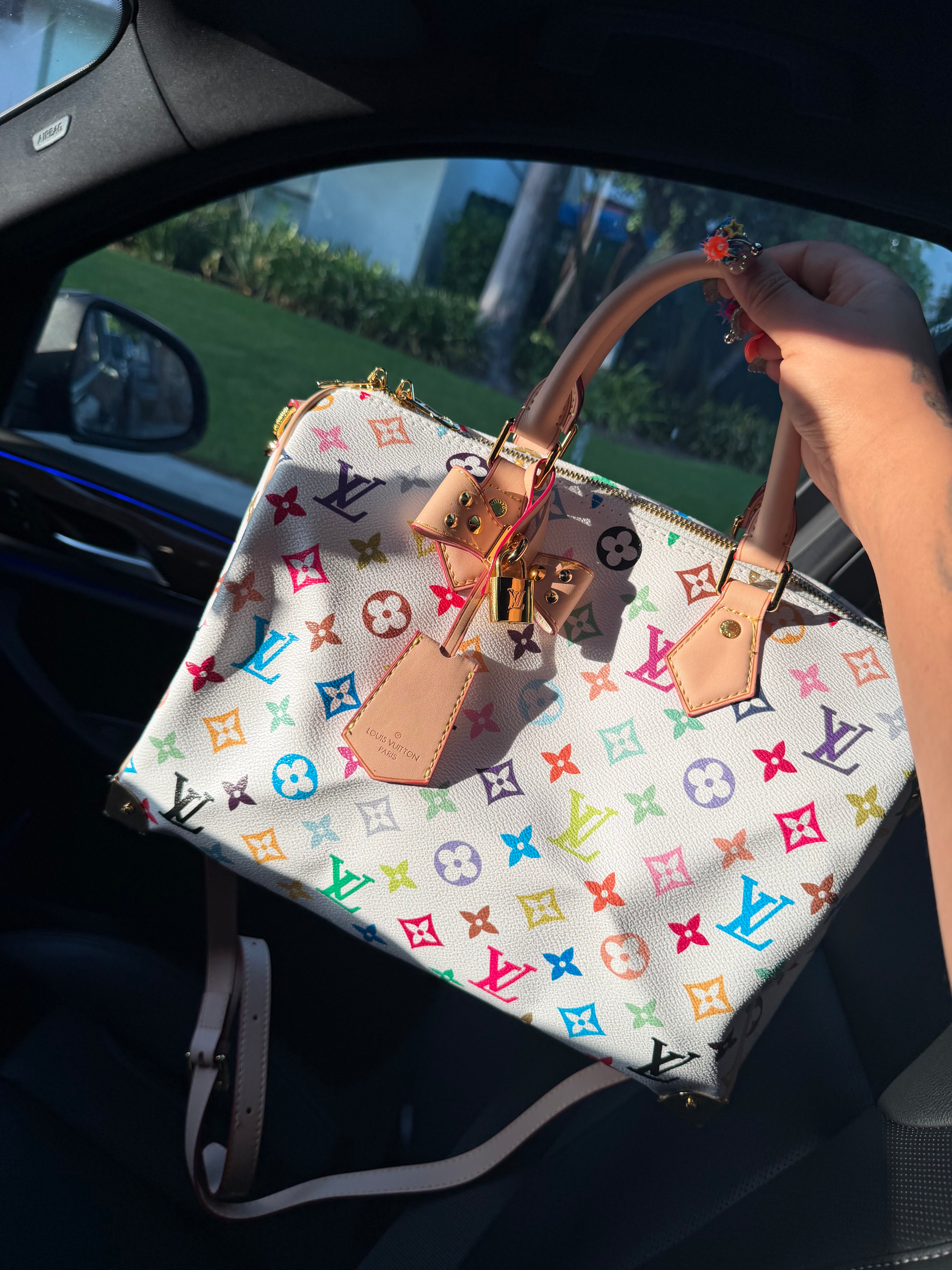 COLORFUL LV BAG