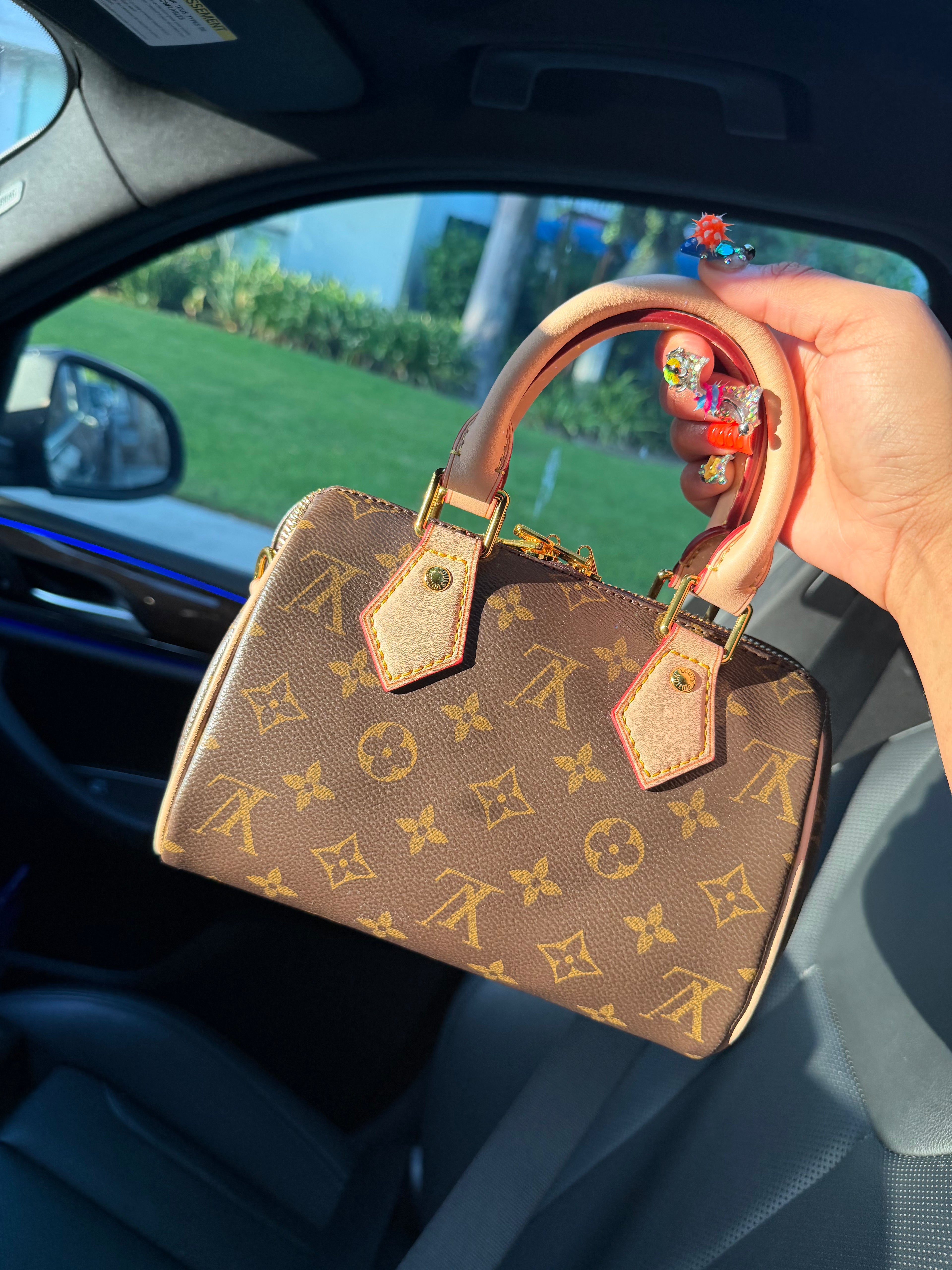 BROWN LV BAG